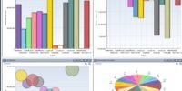 Primavera P6 EPPM Advance Course